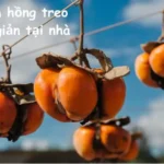 Cách làm hồng treo gió đơn giản tại nhà